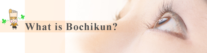 What is Bochikun?
